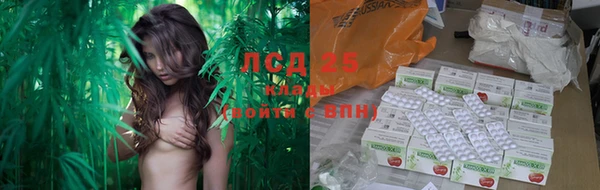 спайс Алексин