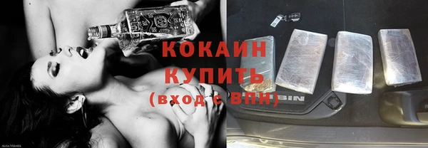 соль ск Алзамай