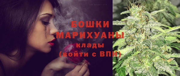 спайс Алексин