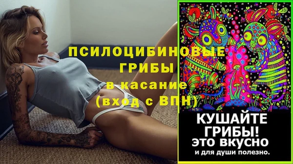 спайс Алексин